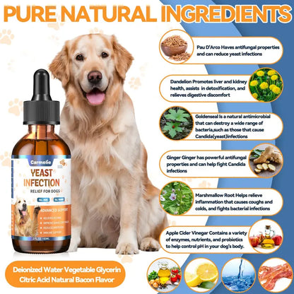 Natural Yeast Relief for Dogs
