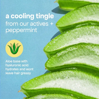 Anti-Thinning Shampoo & Conditioner Duo