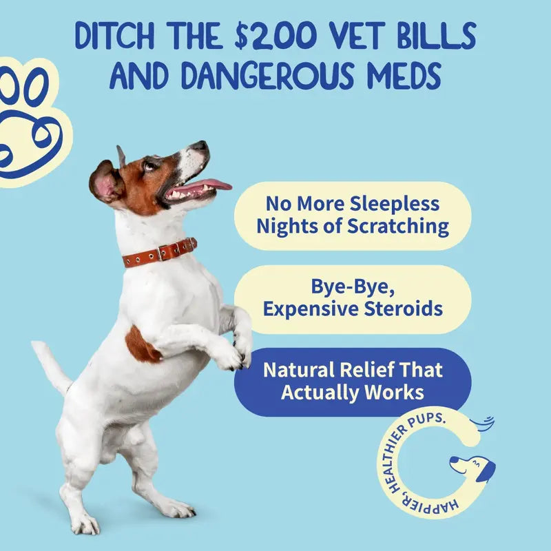Dog Allergy Relief