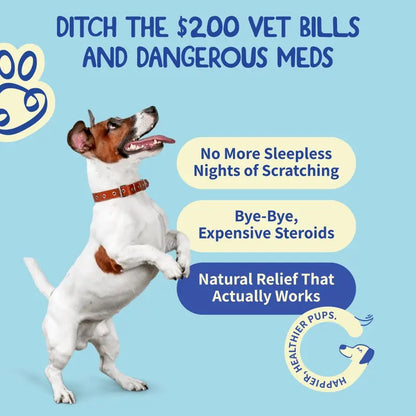 Dog Allergy Relief